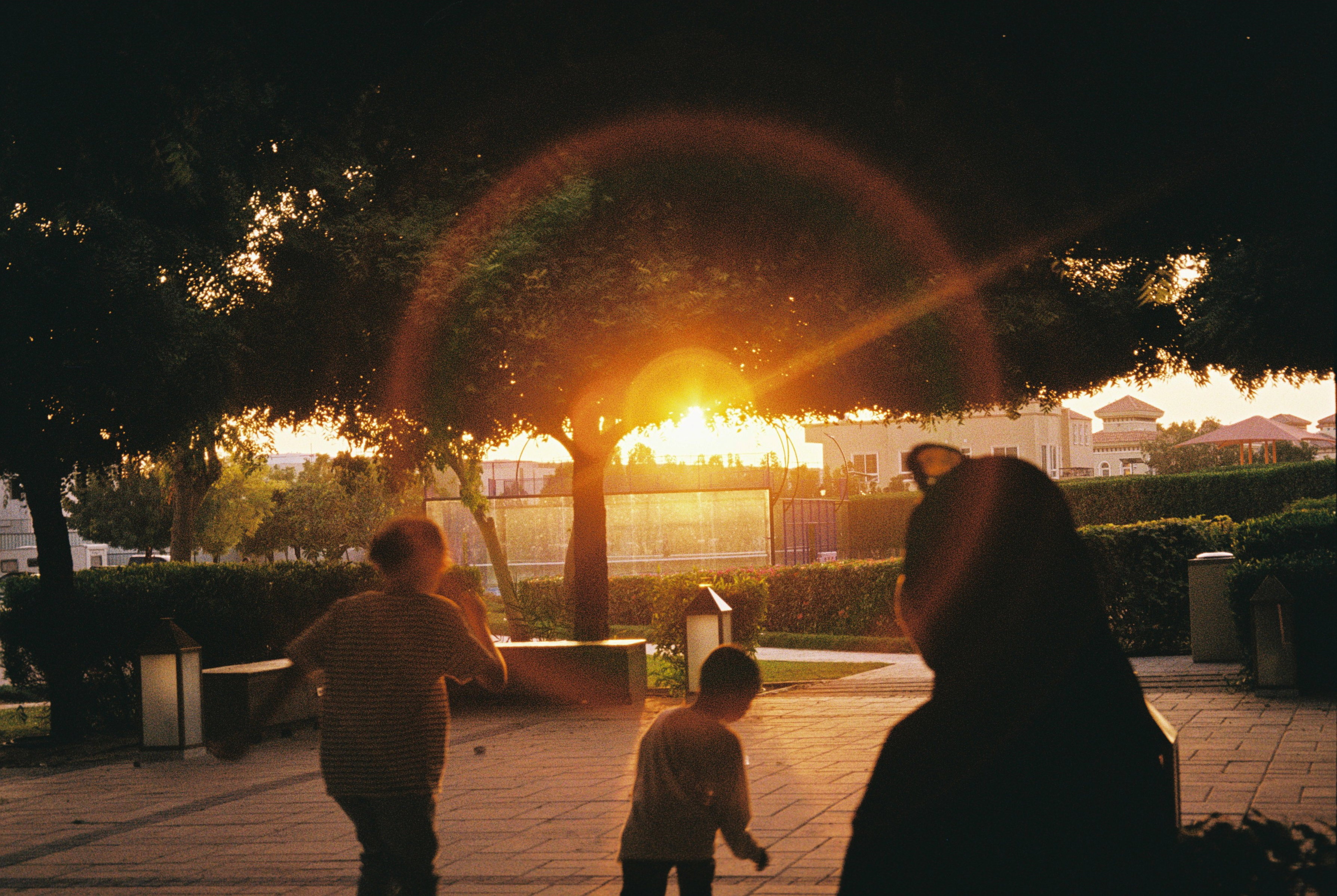 Film photo 4